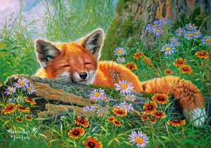 Schlummernder Fuchs
