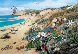JHG Jigsaws-Puzzle 1000 Teile: Reges Strandleben