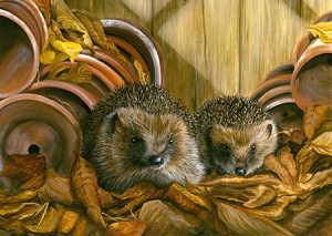 JHG Jigsaws-Puzzle 1000 Teile: Süße Igel im Herbstquartier