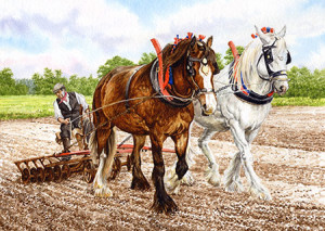 JHG Jigsaws-Puzzle 1000 Teile: Pferde bei der Feldarbeit