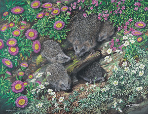 JHG Jigsaws-Puzzle 1000 Teile: Drollige Igel-Familie