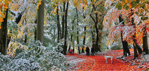 Erster Schnee im Herbst