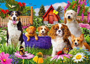 Viele süße Hundewelpen