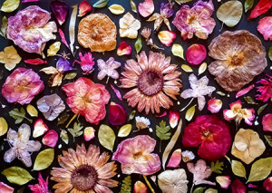 Enjoy Puzzle-Puzzle 1000 Teile: Getrocknete bunte Blüten und Blätter