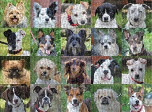 Galison/Mudpuppy-Puzzle 1000 Teile: Süße Hundecollage
