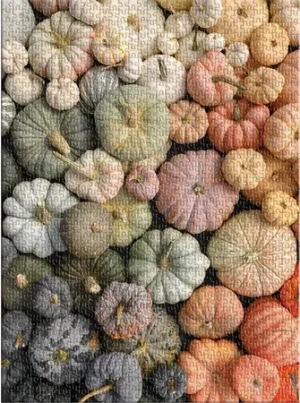 Viele bunte Kürbisse