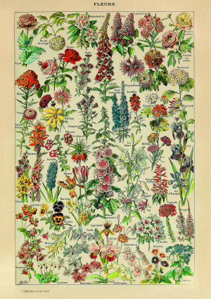 Piatnik-Puzzle 1000 Teile: Fleurs, Millot