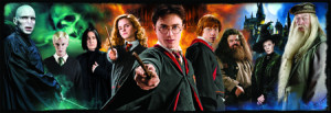 Harry Potter - Kampf gegen die Dunklen Mächte