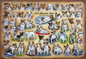 JHG Jigsaws-Puzzle 1000 Teile: Jack Russell Hunde-Kollage