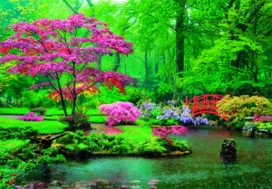 Japanischer Zen-Garten