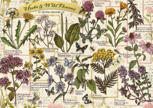 Trefl Puzzle-Puzzle 500 Teile: Herbarium: Heilkräuter