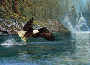Cobble Hill-Puzzle 1000 Teile: Weißkopfseeadler
