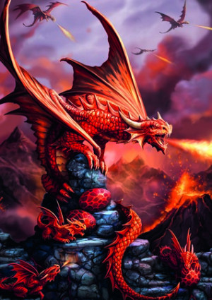 Feuerdrachen