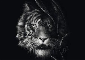 Wilderness Tiger - Im Zeichen der Freiheit