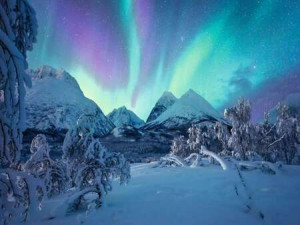 Wenn die Nordlichter tanzen