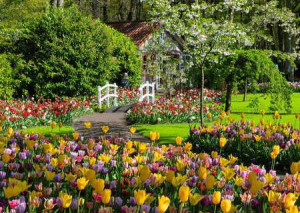 Keukenhof Gardens, Netherlands