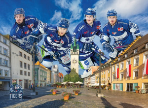 Eurographics-Puzzle 1000 Teile: Straubing Tigers