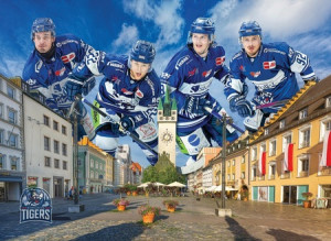 Straubing Tigers