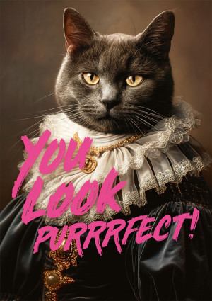 Piatnik-Puzzle 1000 Teile: You Look Purrrfect!