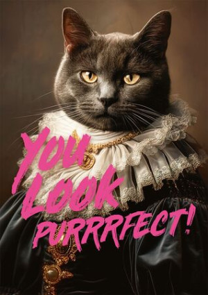You Look Purrrfect!