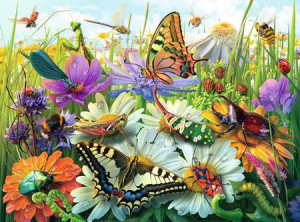 Wunderwelt der Insekten