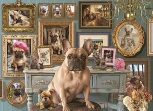 Französische Bulldogge