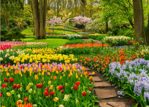 Blumenpracht