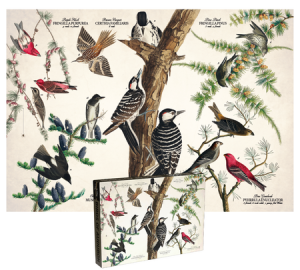 Illustrierte Vögel, Audubon
