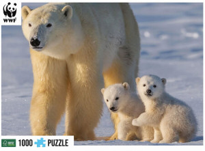 Polarbären