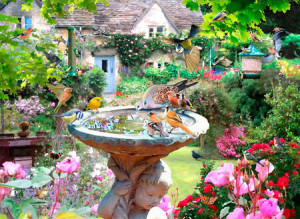 Sommervögel am Trinkbrunnen