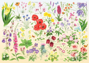 The House of Puzzles-Puzzle 1000 Teile: Viele Wildblumen