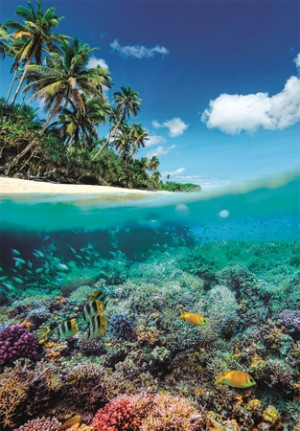 Im Sommer-Paradies