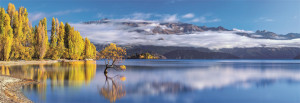 Clementoni-Puzzle 1000 Teile: Reflektionen in Gold am Wanaka See