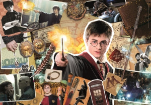 Harry Potter - Harry und die Zauberei