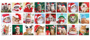 Eurographics-Puzzle 1200 Teile: Süße Katzenkinder - Adventskalender