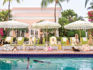Galison/Mudpuppy-Puzzle 1000 Teile: Palm Beach
