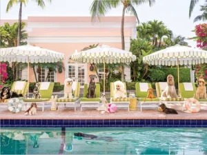 Palm Beach