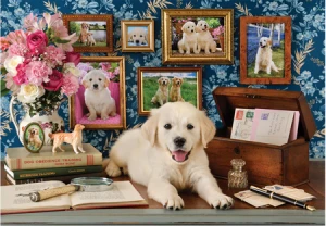 Süßer Labrador