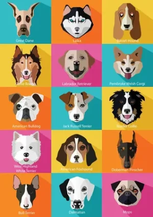 Unsere Hunde