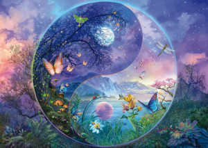 Yin & Yang - Fantastische Insektenwelt