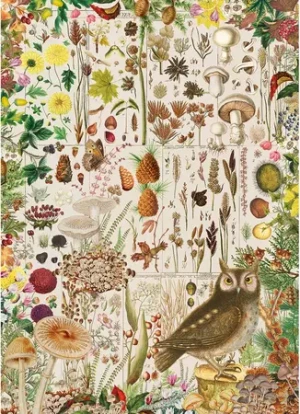 Herbstflora
