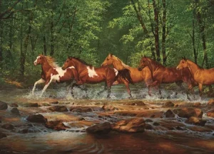 Wildpferde im Fluss