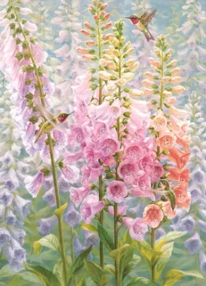 Blumen im Sommer