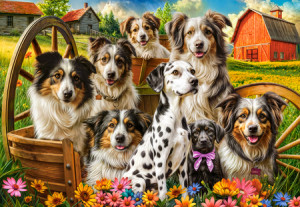 Glückliche Hunde auf dem Land