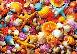 Bunte Muscheln