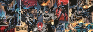 DC - Batman: Beschützer Gothams