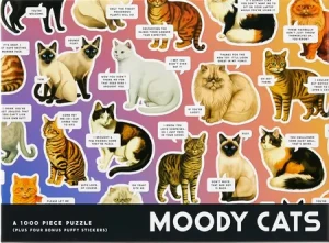 Launische Katzen