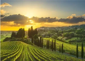 Weingut der Maremma, Italien