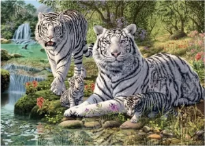 Weiße Tiger