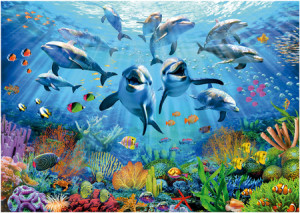 Delfin-Selfie